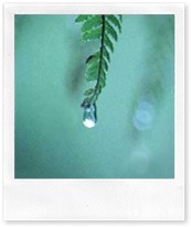 raindrop2